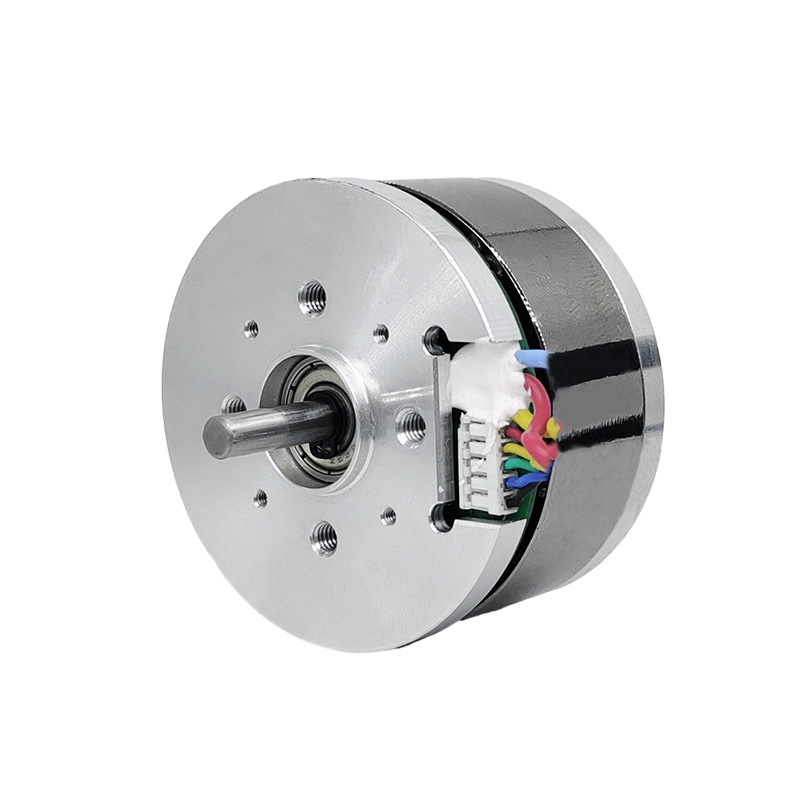 24V BL5532 Motore DC senza spazzole