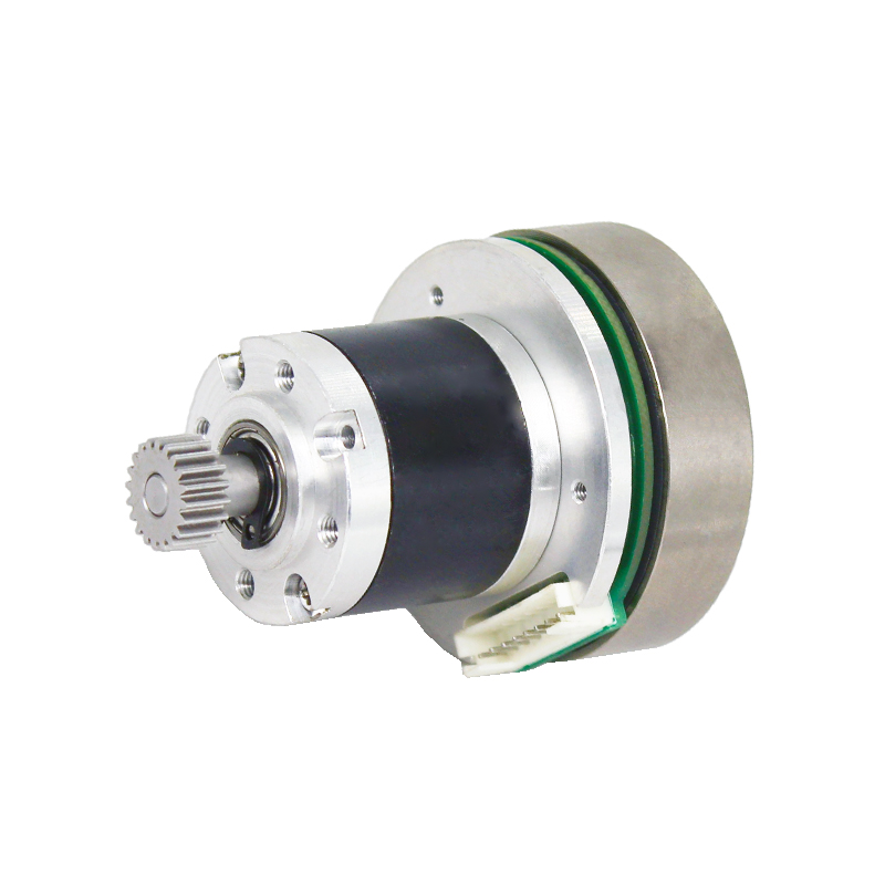 BL4316 Rotore esterno 28 mm Motore senza spazzole